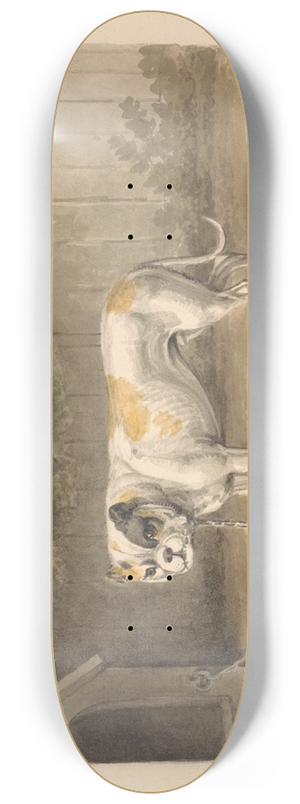 Samuel Howitt - A Bulldog 8.25 inch art skate deck Samuel Howitt - A Bulldog 8.25 inch art skate deck