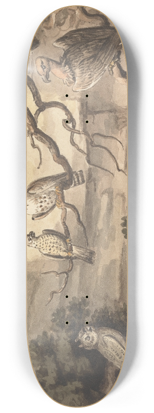 Samuel Howitt - An Owl, an Eagle, Two Falcons, a Vulture and Other Birds Perched in Trees 8.25 inch art skate deck