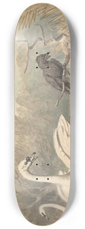 Samuel Howitt - A Raven and Two Swans 8.25 inch art skate deck