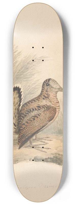 Samuel Howitt - A Woodcock 8.25 inch art skate deck