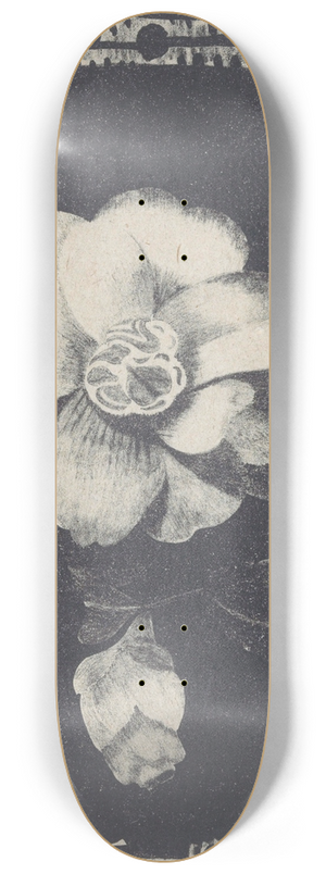 Samuel Jessurun de Mesquita - Camelia, links een bloem in knop 8.25 inch art skate deck