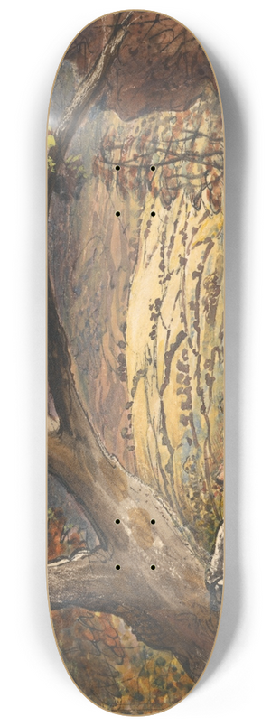 Samuel Palmer - The Timber Wain 8.25 inch art skate deck