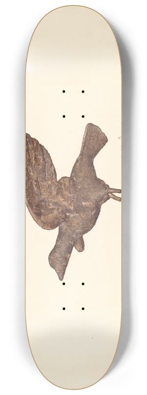 Sarkis Erganian - Dove 8.25 inch art skate deck