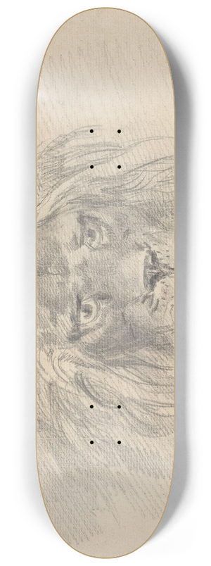 Sawrey Gilpin - Head of a Lion 8.25 inch art skate deck