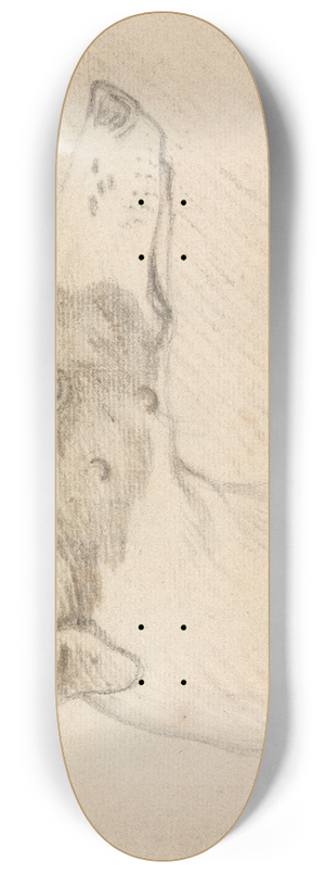 Sawrey Gilpin - Head Portrait of Grayhound 8.25 inch art skate deck