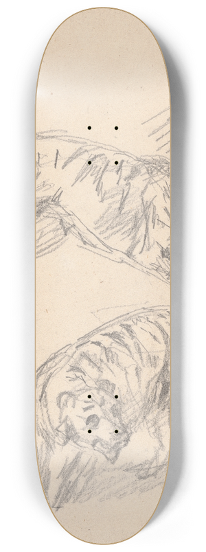 Sawrey Gilpin - Studies of a tiger 8.25 inch art skate deck