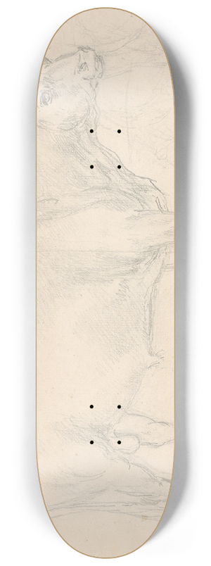 Sawrey Gilpin - Study of a Bull 8.25 inch art skate deck