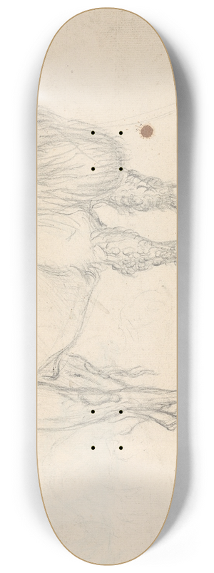 Sawrey Gilpin - Study of a Camel facing right 8.25 inch art skate deck