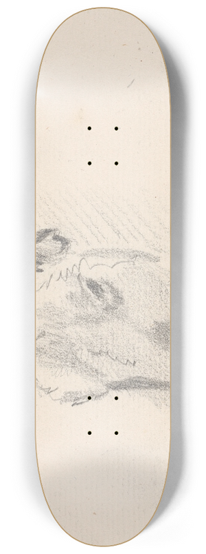 Sawrey Gilpin - Study of a Cows Head 8.25 inch art skate deck