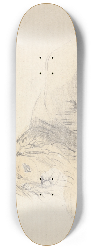 Sawrey Gilpin - Study of a Lion 8.25 inch art skate deck