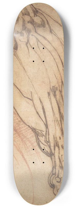 School of Michelangelo Buonarroti - Anatomical Studies of a Leg 8.25 inch art skate deck
