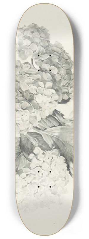Sergey Chekhonin - Hydrangeas in a vase 8.25 inch art skate deck