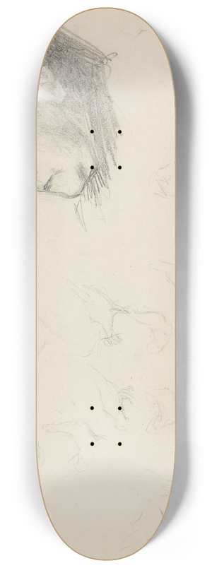 Signe Scheel - Christiane Marie Mathilde Bay; riss av fugler, riss av kvinne 8.25 inch art skate deck Signe Scheel - Christiane Marie Mathilde Bay; riss av fugler, riss av kvinne 8.25 inch art skate deck