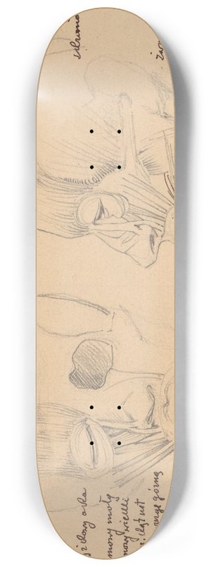 Stanisaw Wyspiaski - Human head muscles 8.25 inch art skate deck