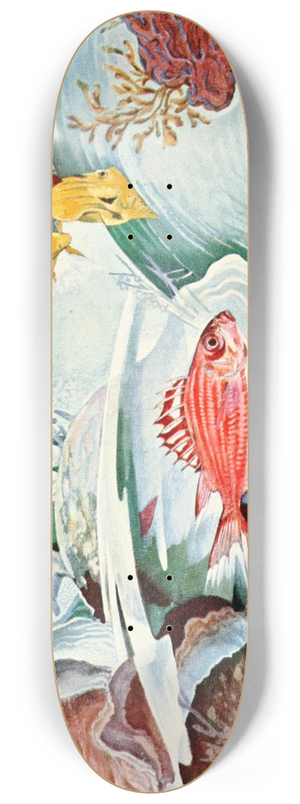 Stephen Haweis - Squirrel fish of Honolulu 8.25 inch art skate deck