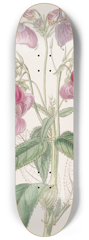 Sydenham Edwards - Glandular Balsam 8.25 inch art skate deck