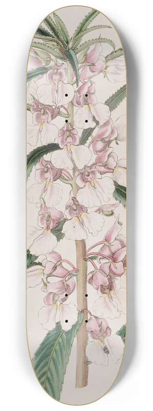Sydenham Edwards - Small Pink Balsam 8.25 inch art skate deck