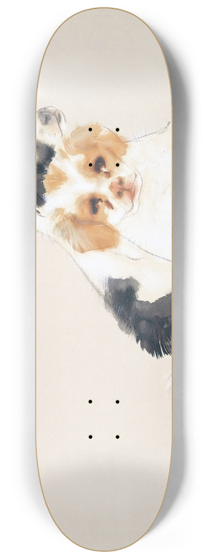 Takeuchi Seih - Fireside 8.25 inch art skate deck