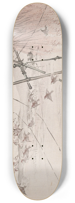 Takeuchi Seih - Seiho juni Fuji, Pl.10 8.25 inch art skate deck