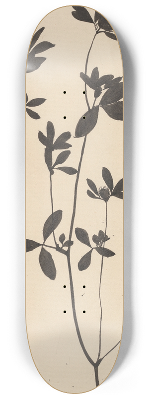 Theo Nieuwenhuis - Klaver 8.25 inch art skate deck