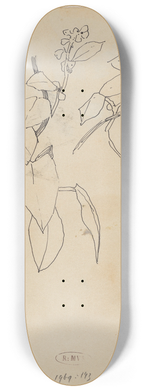 Theo Nieuwenhuis - Plantenstudies 8.25 inch art skate deck