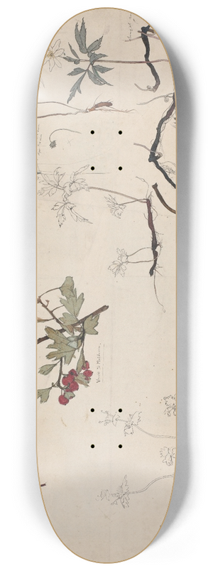 Theo Nieuwenhuis - Studieblad met vruchten, planten en bloemen 8.25 inch art skate deck