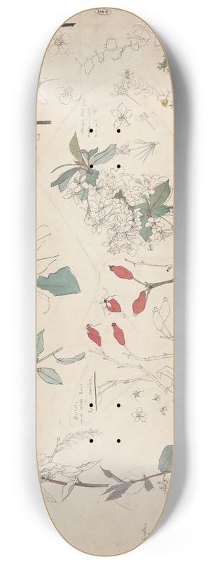 Theo Nieuwenhuis - Studies van planten 8.25 inch art skate deck
