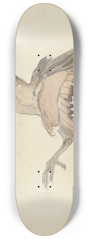 Theo van Hoytema - Dood vogeltje 8.25 inch art skate deck Theo van Hoytema - Dood vogeltje 8.25 inch art skate deck