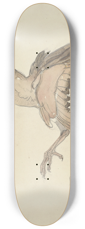 Theo van Hoytema - Dood vogeltje 8.25 inch art skate deck Theo van Hoytema - Dood vogeltje 8.25 inch art skate deck