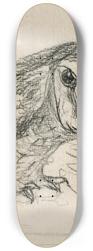 Theo van Hoytema - Een kleine uil 8.25 inch art skate deck