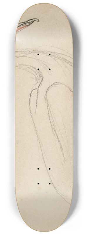 Theo van Hoytema - Een pelikaan 8.25 inch art skate deck