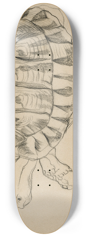 Theo van Hoytema - Een schildpad 8.25 inch art skate deck