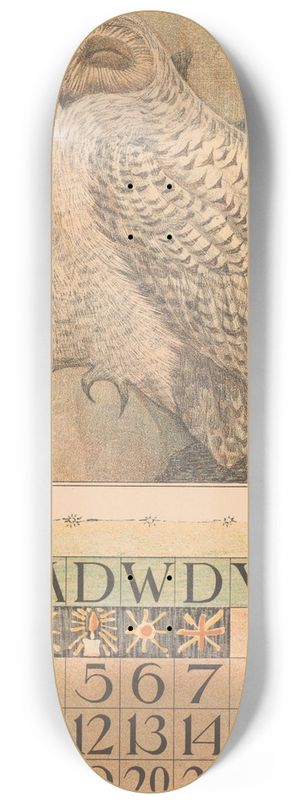 Theo van Hoytema - Kalenderblad december met sneeuwuil 8.25 inch art skate deck