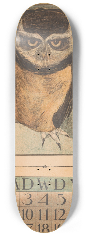 Theo van Hoytema - Kalenderblad januari met uil 8.25 inch art skate deck