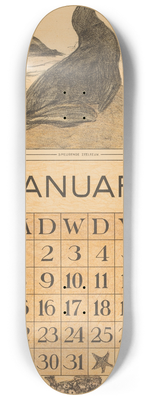 Theo van Hoytema - Kalenderblad januari met zeeleeuw 8.25 inch art skate deck