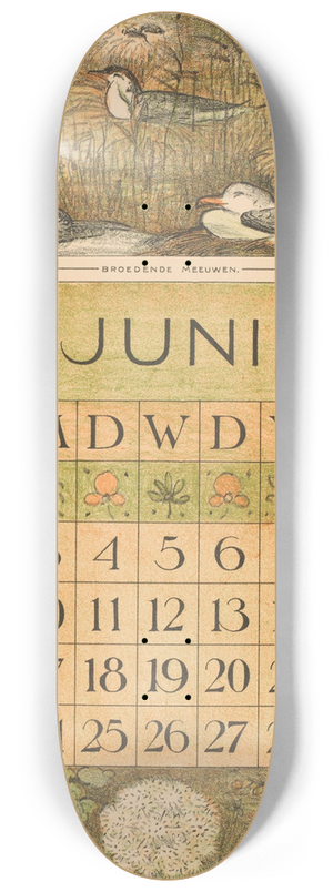 Theo van Hoytema - Kalenderblad juni met broedende meeuwen 8.25 inch art skate deck