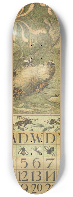 Theo van Hoytema - Kalenderblad september met dode mus en kevers 8.25 inch art skate deck Theo van Hoytema - Kalenderblad september met dode mus en kevers 8.25 inch art skate deck