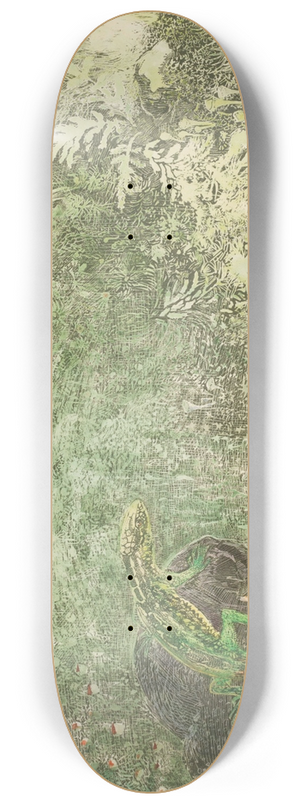 Theo van Hoytema - Lizard On A Stone 8.25 inch art skate deck Theo van Hoytema - Lizard On A Stone 8.25 inch art skate deck