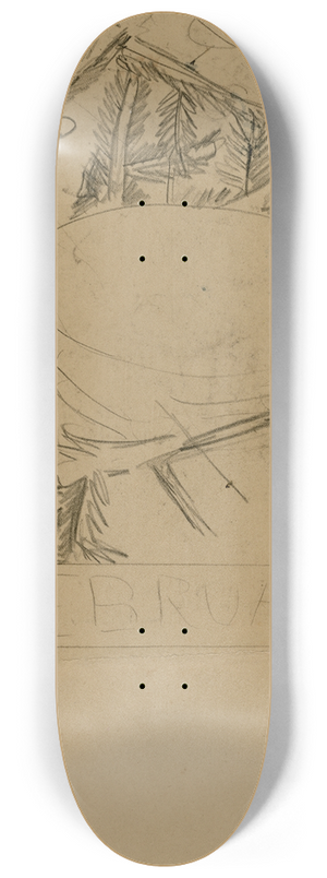 Theo van Hoytema - Ontwerp februari 8.25 inch art skate deck