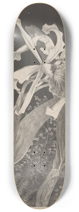 Theo van Hoytema - Orchids 8.25 inch art skate deck Theo van Hoytema - Orchids 8.25 inch art skate deck