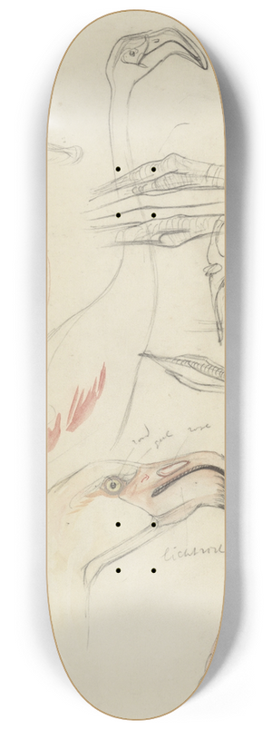 Theo van Hoytema - Studies van een flamingo 8.25 inch art skate deck