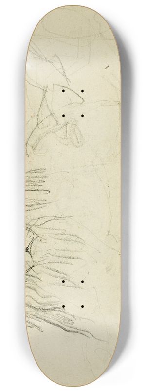 Thodore Gricault - Head on view of seated lion 8.25 inch art skate deck