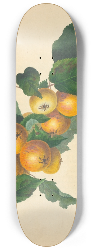 Thomas Andrew Knight - Foxley Apple 8.25 inch art skate deck