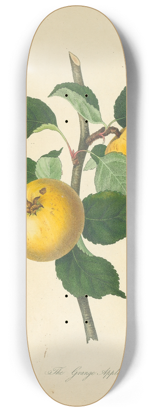 Thomas Andrew Knight - Grange Apple 8.25 inch art skate deck