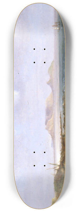 Thomas Bowler - Table Bay 8.25 inch art skate deck