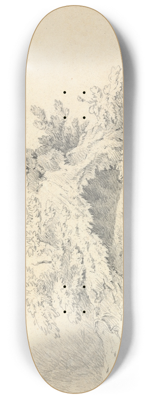 Thomas Bradshaw - Sketch of Shrubbery 8.25 inch art skate deck Thomas Bradshaw - Sketch of Shrubbery 8.25 inch art skate deck