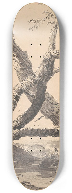 Thomas Cole - Tree Trunks 8.25 inch art skate deck