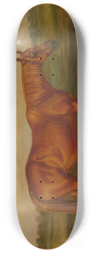 Thomas Scott - Picayune in a Landscape 8.25 inch art skate deck