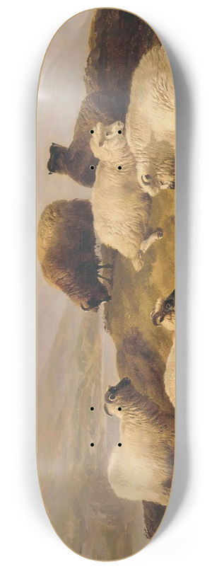 Thomas Sidney Cooper - Sheep Resting In A Highland Landscape 8.25 inch art skate deck