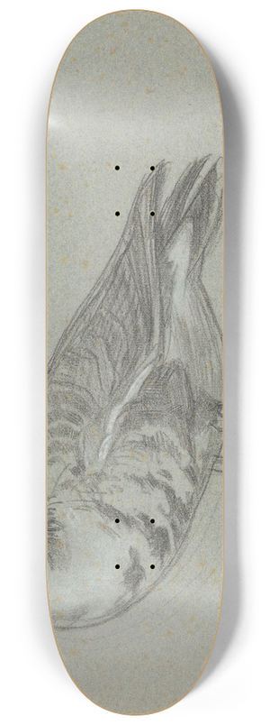 August Alleb - Schets van een opgezette eend 8.25 inch art skate deck